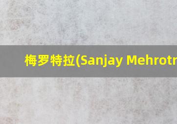 梅罗特拉(Sanjay Mehrotra)